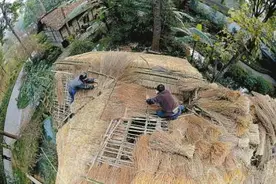 茅屋顶上的盖匠 我为杜甫修茅屋图片