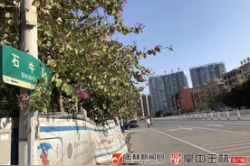 玉林这些“牛事”值得你知道图片