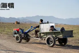 「深度」“老头乐”简史图片