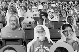 今年超级碗更像大杂烩图片