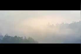 寻源道地药材——山茱萸