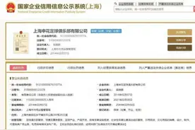 申花“回归”20年前，上海绿地申花正式更名为上海申花图片