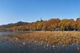 你遇见了西湖哪一种美？西湖申遗成功10周年，来小时新闻晒图晒文，送热门景点门票图片