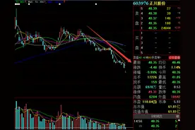 震惊！“一字断魂刀”再现江湖，“杀猪盘”庄家被控制，4.6万股东被坑惨了，33个交易日，股价跌幅50%，网友：亏7万多跑了图片