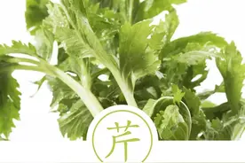 聆听汉字之美：《饮食字传》食材篇·芹图片