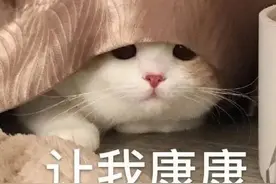 上新！微信昵称后面加福字，你get了吗？图片