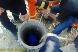 视频｜民警两次下到30米深井救人 成功救人升井后自己缺氧体力透支瘫倒在地图片