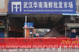 补壹刀：终于，世卫专家组在武汉调查有了结论！下一站该去美国了吧？图片