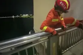 拼了命也要救你！昨天晚上，市区紫金大桥，消防员死死抱住轻生男子……图片