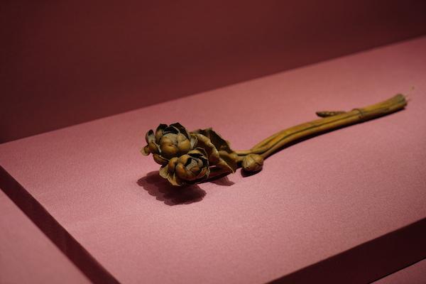 故宫“如意之展”：从画中如意看到清宫旧藏如意