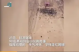 90后指挥上千只鸡摆出“牛气冲天”走红网络，人送外号“鸡司令”图片