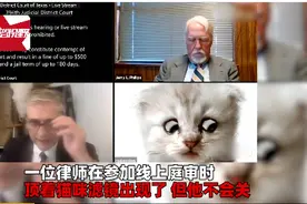 “我不是猫啦”，律师开着猫头滤镜上庭不会关，笑翻网友图片