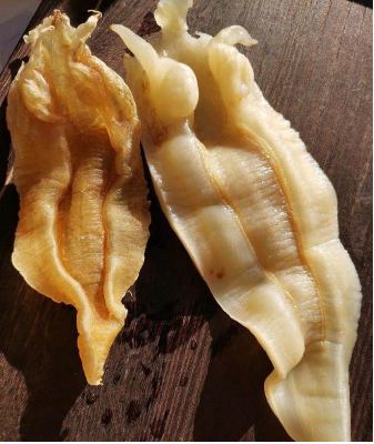 花胶什么时候喝最好 花胶什么时候喝最好吸收