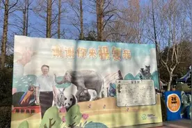 南京红山动物园被“报复”了图片