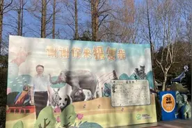 南京红山动物园被“报复”了图片