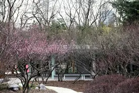 快讯！逍遥津大象滑滑梯有新动作图片