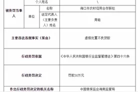海口市农村信用合作联社被罚30万元：虚假处置不良贷款图片
