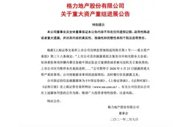 格力地产暂停收购珠免集团，董事长虽被立案调查仍正常履职图片
