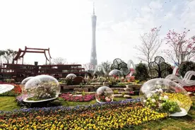 留粤过年，花城看花！广州各大公园景区最新赏花攻略请收好图片