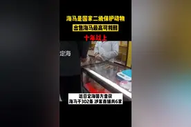 海马是国家二级保护动物，出售海马最高可判刑！