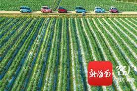 2020年度海南省新能源汽车奖励什么时候到账？官方回复来了图片
