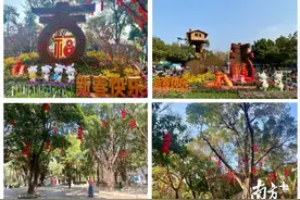 留粤过年！广州动物园门票八折邀你游园图片