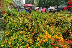 大雨挡不住街坊过年买花买菜好心情图片