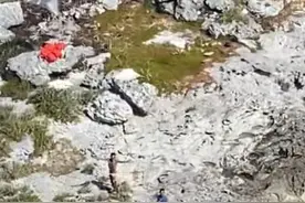 2男1女在无人荒岛求生，存活33天图片