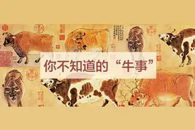 好书·书摘丨了解这些“牛”知识，牛气冲天过春节图片