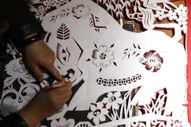 属牛的你到底是属黄牛，还是属水牛？图片