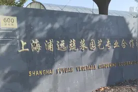 过年了！这里尽收尽种保障蔬菜供应视频封面