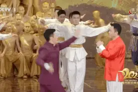 扒一扒春晚上的明星都穿啥？图片