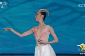 又是她！浙江姑娘春晚一段舞，全场惊叹：绝美仙境，油画动起来了图片