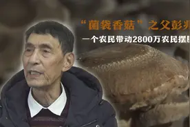 “菌袋香菇”之父彭兆旺：一个农民带动2800万农民摆脱贫困视频封面