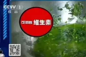 3句口诀+4步走，包饺子高手就是你图片