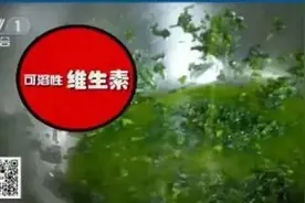 3句口诀+4步走，包饺子高手就是你图片