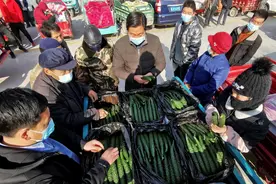 新家筑起新梦想 一根黄瓜富一村图片