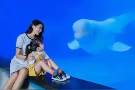 萌宠齐贺团来了！广州首头小白鲸开年大秀图片