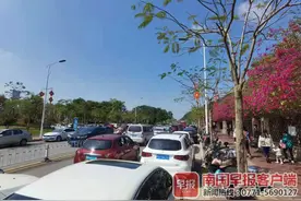 请注意绕行！南宁各大景区周边一度成“车海”图片