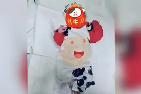 爱申活 暖心春丨沪首批“牛宝宝”诞生，像小牛一样机灵可爱视频封面