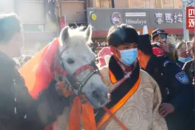 大年初一：丁真“马上”送祝福图片