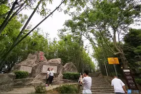 留莞过年春节策划④|畅游留莞过年，寻找东莞年味图片