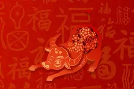 牛年只有354天！关于牛年，还有哪些知识点？图片