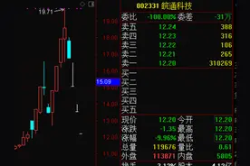 皖通科技剧情反转！李臻被罢免，周发展重回董事会图片