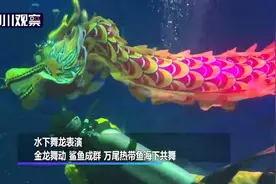 ​“海味”年 金龙和鲨鱼“切磋武艺”图片