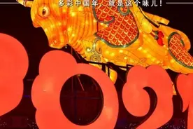 庖丁解牛！关于“牛”的这些冷知识，你都知道吗？图片