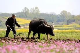 绝了！安徽这么多地名与“牛”有关图片