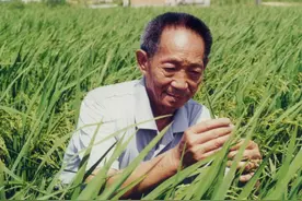 开卷迎新满目春！袁隆平樊锦诗等在人民日报撰文谈读书图片