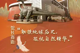 大年初三 云游地博：河南省地质博物馆 发掘恐龙化石触摸地球历史图片
