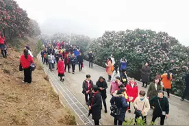 春节偶记｜正月初一登高捡“财”图片